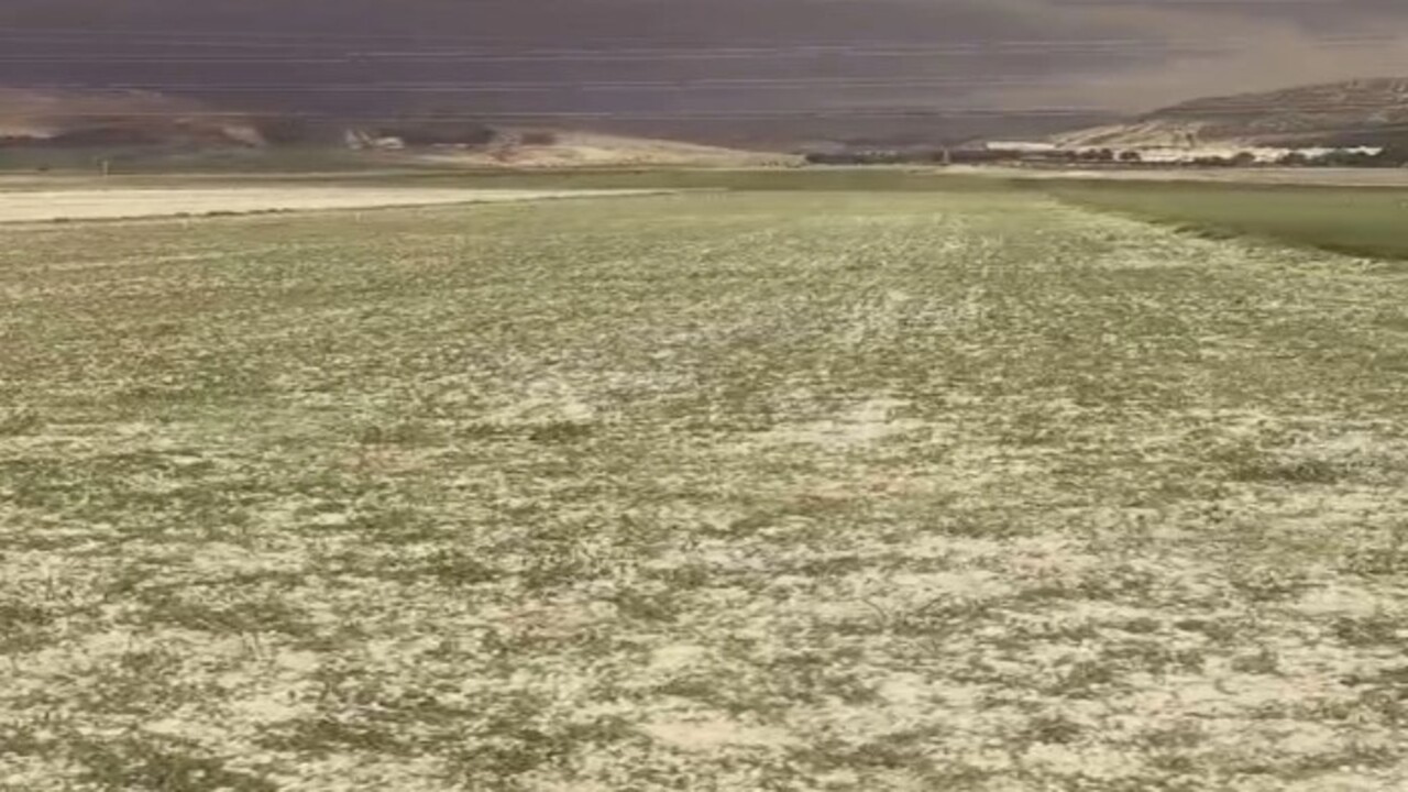 Foto - O ilimize ceviz büyüklüğünde dolu yağdı