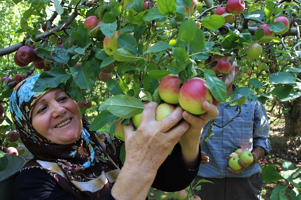 Foto - O ilimizin 2 bin yıllık sembolü