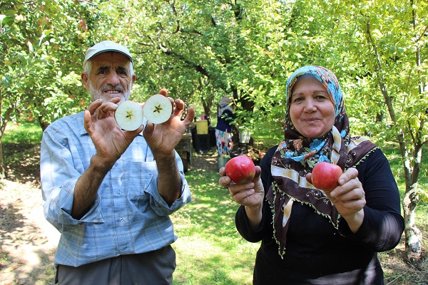 Foto - O ilimizin 2 bin yıllık sembolü