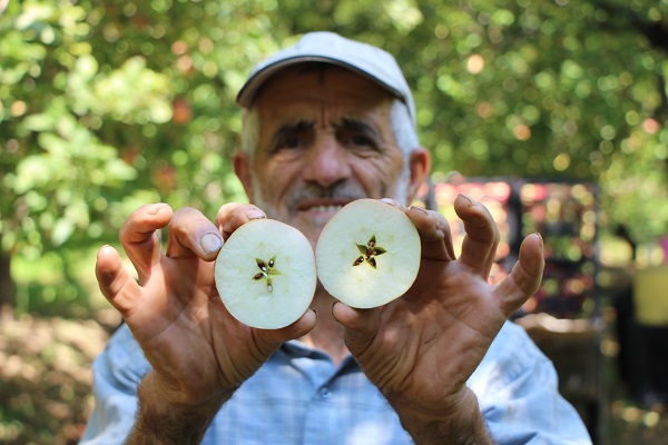 Foto - O ilimizin 2 bin yıllık sembolü