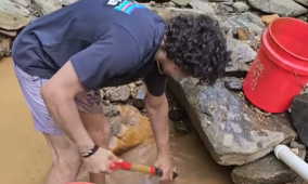 Foto - O ilimizin derelerinden altın fışkırmaya başladı! Duyan başka şehirlerden bölgeye koştu