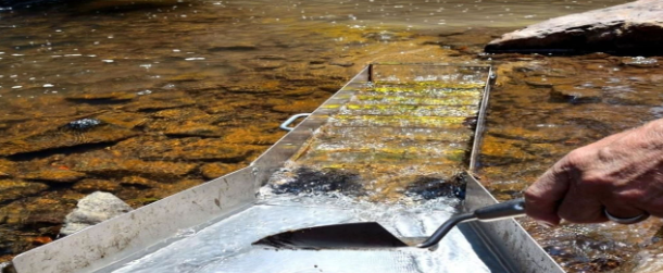 Foto - O ilimizin derelerinden altın fışkırmaya başladı! Duyan başka şehirlerden bölgeye koştu