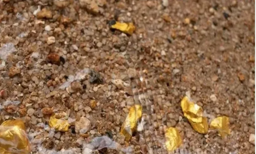 O ilimizin derelerinden altın fışkırmaya başladı! Duyan başka şehirlerden bölgeye koştu