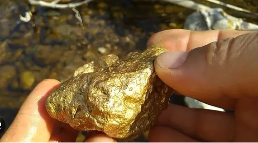 Foto - O ilimizin her yerinden altın fışkırmaya başladı! Ekipler gece gündüz çalışıyor