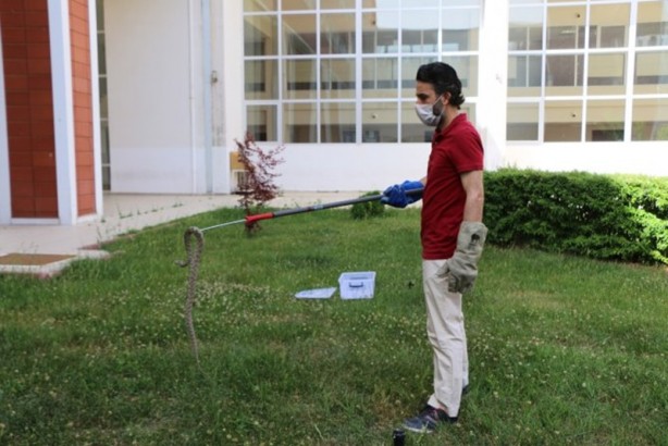 Foto - O illere kritik uyarı yapıldı: "5-10 dakika içinde öldürüyor"