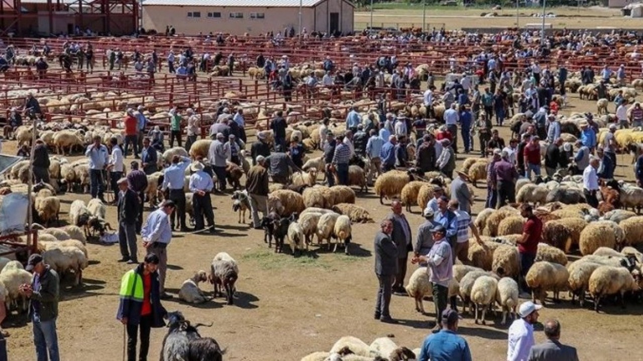 Foto - O illerimizde şap alarmı! Vaka sayısı arttı hayvan pazarları kapatıldı