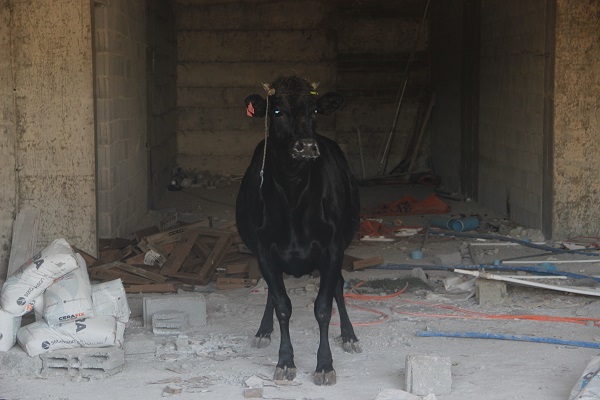 O kaçtı ekipler peşinden koştu