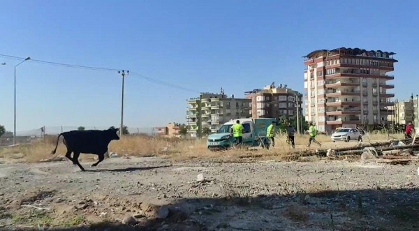 Foto - O kaçtı ekipler peşinden koştu