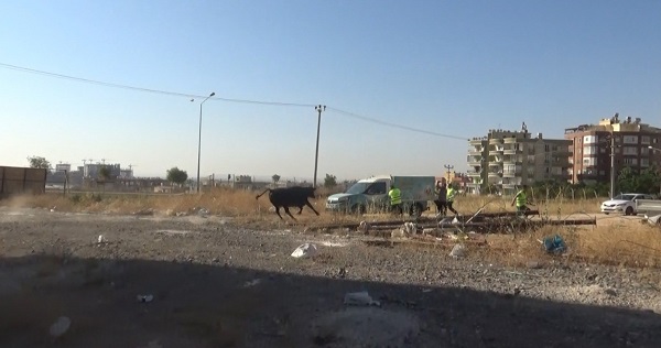 Foto - O kaçtı ekipler peşinden koştu