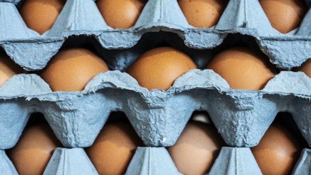 Foto - O kodlu yumurtalar raflardan kaldırılıyor: Ukrayna yumurtasında salmonella alarmı! 