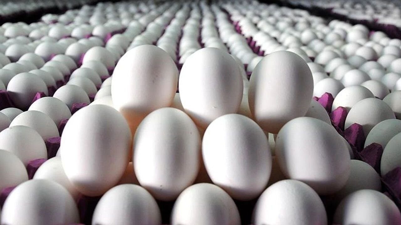 Foto - O kodlu yumurtalar raflardan kaldırılıyor: Ukrayna yumurtasında salmonella alarmı! 