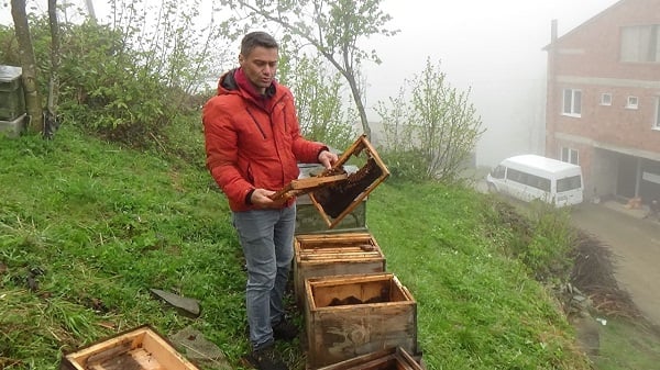 Foto - O köy ayıların hedefi haline geldi