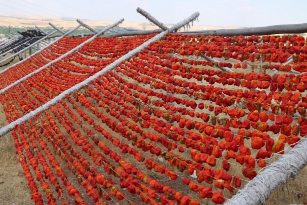 Foto - O köy kıpkırmızı oldu! Sebebi bakın ne çıktı