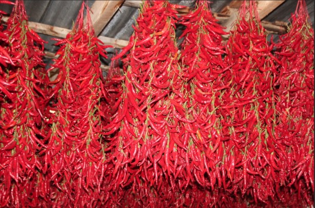 Foto - O köy kıpkırmızı oldu! Sebebi bakın ne çıktı