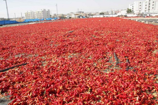 Foto - O köy kıpkırmızı oldu! Sebebi bakın ne çıktı