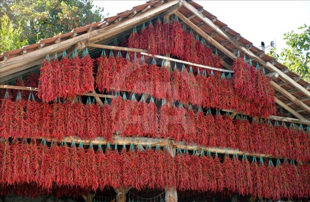 O köy kıpkırmızı oldu! Sebebi bakın ne çıktı