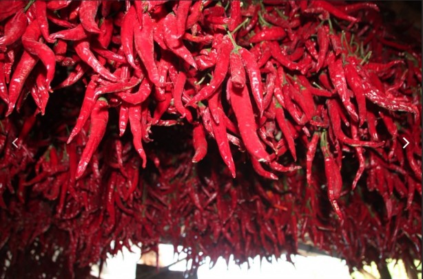 Foto - O köy kıpkırmızı oldu! Sebebi bakın ne çıktı