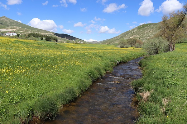 Foto - O köyde 20 günlük şölen başladı