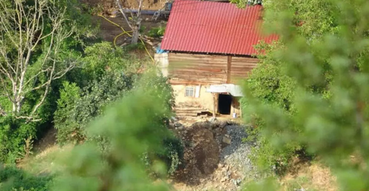 Foto - O köyden altın fışkırmaya başladı! Müjdeyi canlı yayında verdi: Türkiye bir ev dolusu altın hazinesine ulaştı