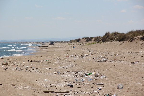 Foto - O kumsal çöpten görünmez hale geldi