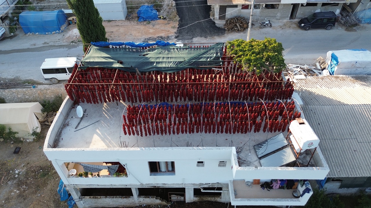 Foto - O mahalle kırmızıya boyandı! Kilosu 500 TL