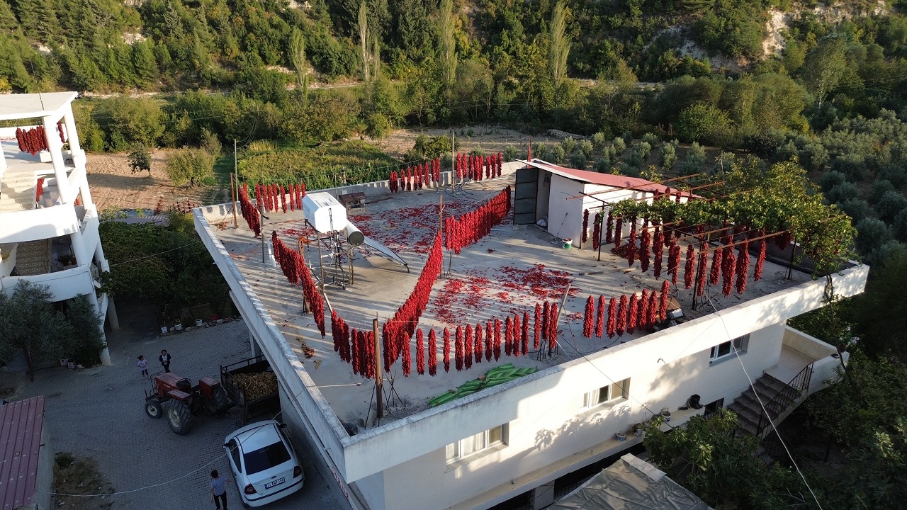 Foto - O mahalle kırmızıya boyandı! Kilosu 500 TL