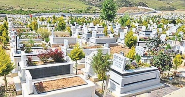 O otun meğer binbir derde faydası varmış! Asırlarca gizlendi! Duyunca mezarlığa koşacaksınız
