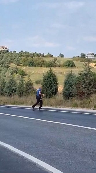 Foto - O polis kaplumbağayı böyle kurtardı
