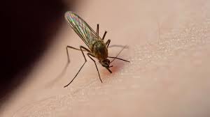 Foto - O renge evinizi boyamayın! Uzman evlerdeki tehlikeye karşı uyardı: Beyaz giymek ya da bunu yapmak doğru