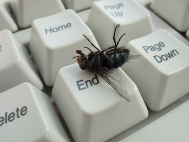 Foto - O renge evinizi boyamayın! Uzman evlerdeki tehlikeye karşı uyardı: Beyaz giymek ya da bunu yapmak doğru