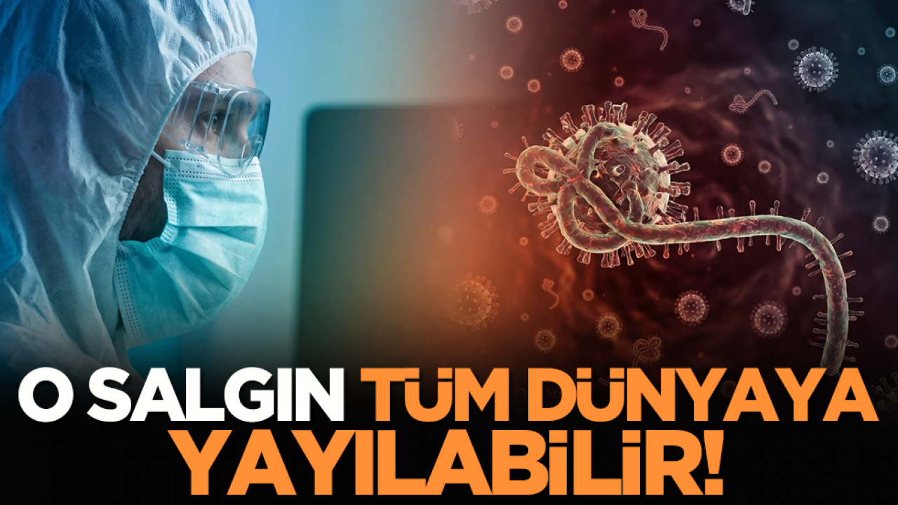 O salgın tüm dünyaya yayılabilir!