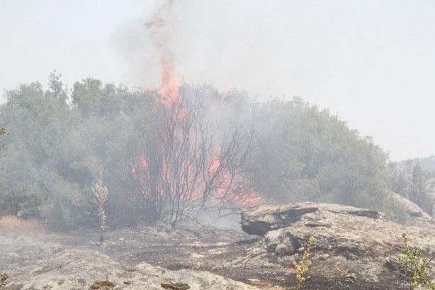 Foto - O şehirde 3 yangın daha çıktı!