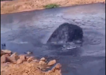 Foto - O şehrimizden petrol fışkırıyor! Kimseler neler olduğunu anlayamadı, görüntüler Türkiye'yi ayağa kaldırdı