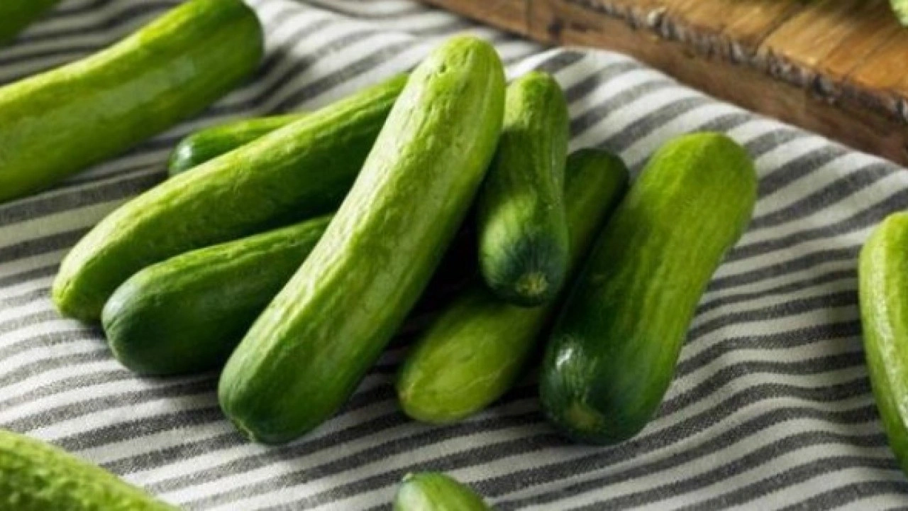 Foto - O sorunu kökten çözüyor! Aç karnına salatalık yemenin faydaları