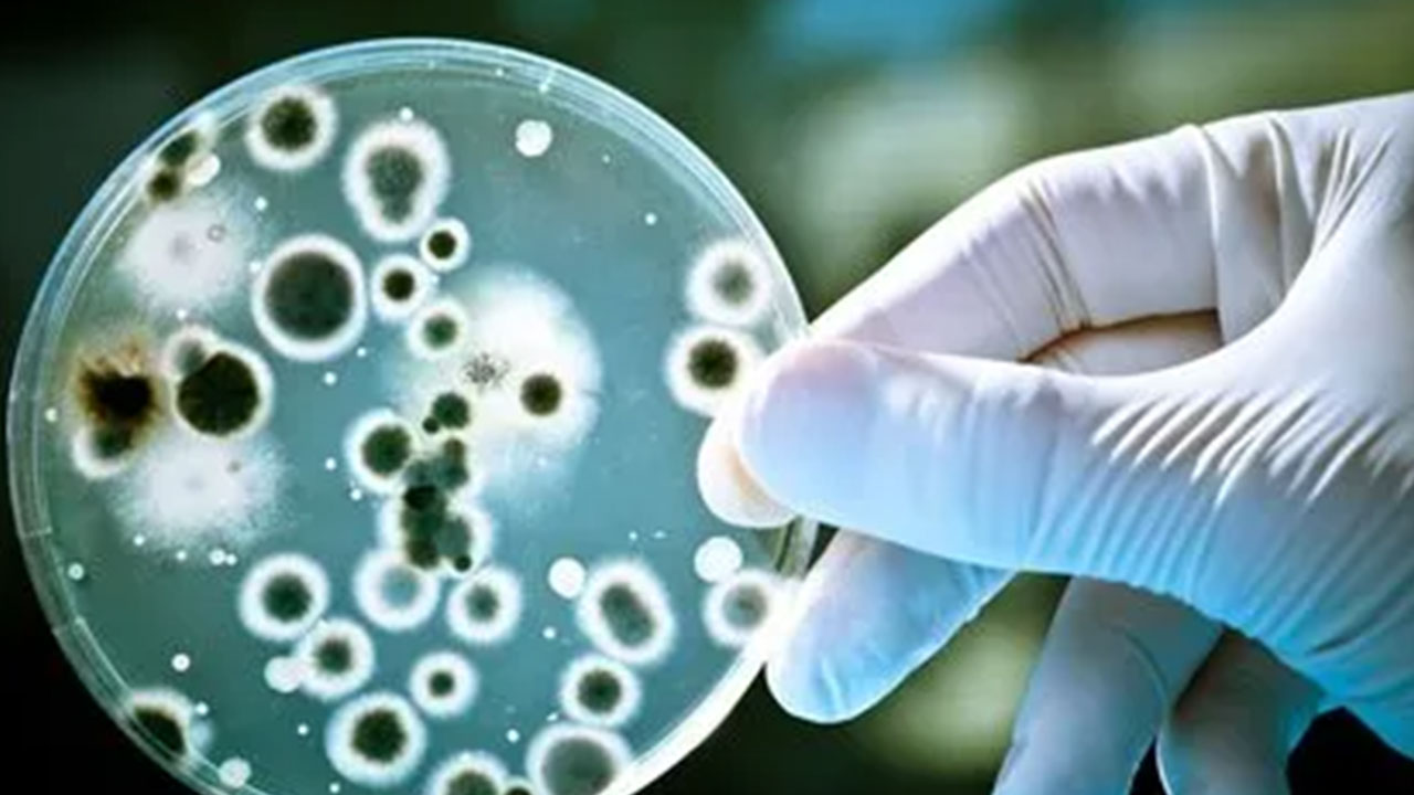 Foto - O sözde bilim insanlarına gece yarısı operasyonu! Kapı dışarı edildiler