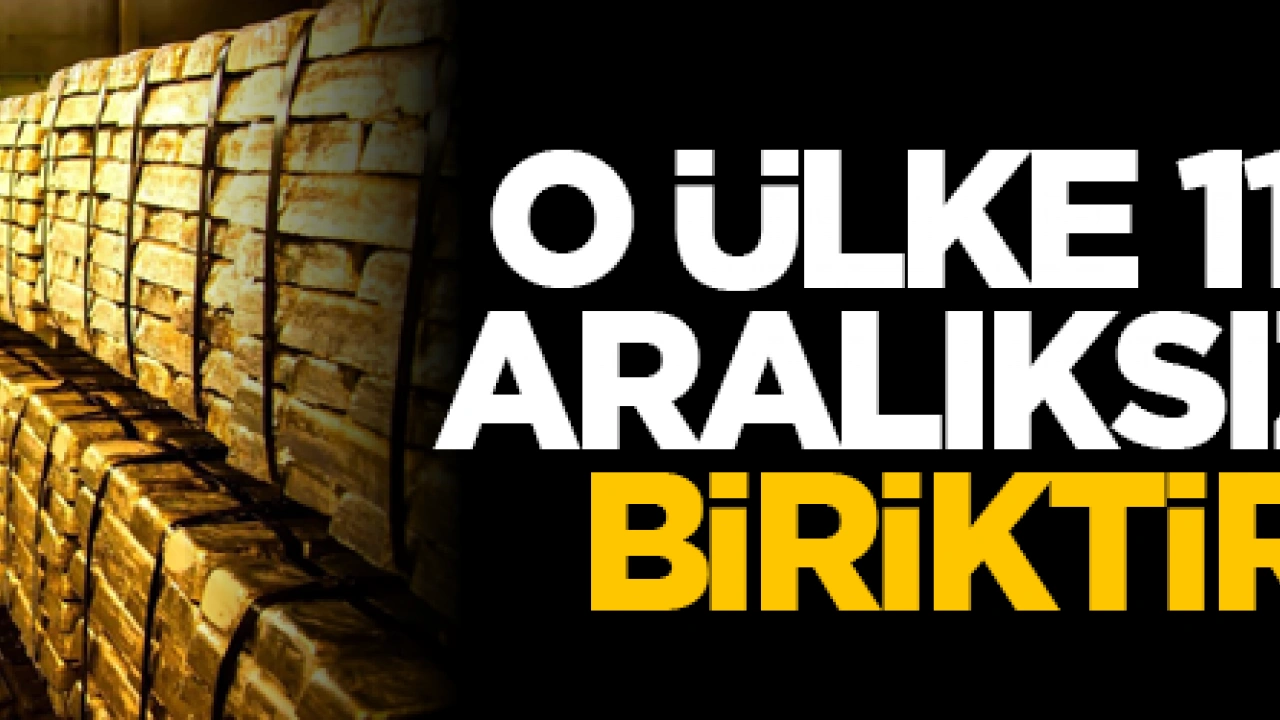 Foto - O ülke 11 aydır aralıksız altın biriktiriyor!