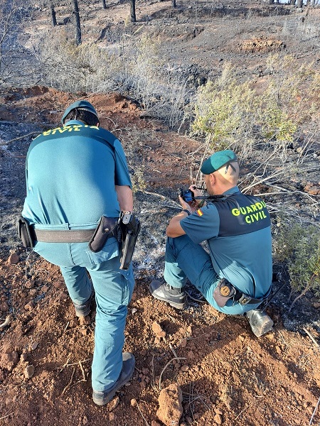 Foto - O ülke alev alev yanıyor! 140 hektar alan kül oldu