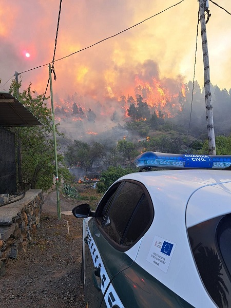 Foto - O ülke alev alev yanıyor! 140 hektar alan kül oldu