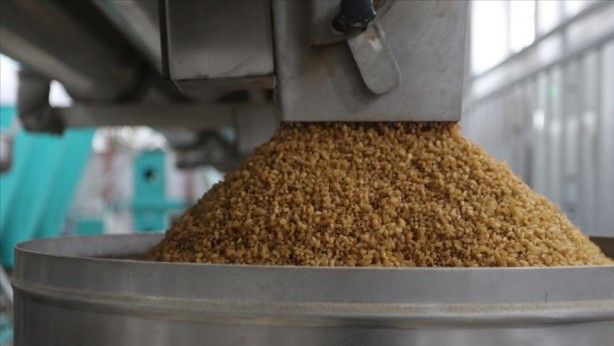 Foto - O ülke, apar topar harekete geçti! "Onları Türkiye’den alacağız" diyerek tüm dünyaya ilan ettiler! Ve altın kapı açıldı