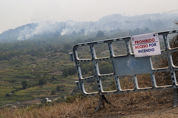 Foto - O ülke orman yangınlarıyla boğuşuyor! 26 bin kişi tahliye edildi