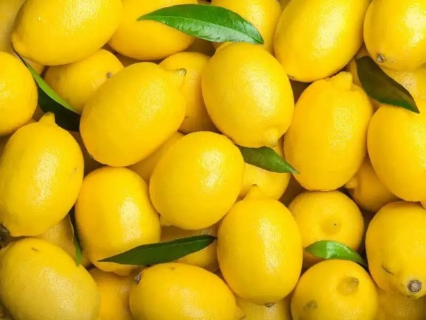 Foto - O ülke Türkiye'den gönderilen biber ve limonları hemen iade etti! Vatandaşlar 'İnşallah biz yemeyiz' diyor