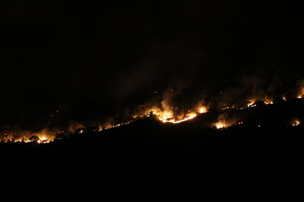 Foto - O ülkede başlayan yangın Türkiye sınırına dayandı! 'Yangın bir şehir büyüklüğünde'