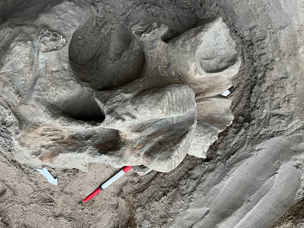 Foto - O ülkede bulundu! 4 bin yıllık heyecanlandıran keşif