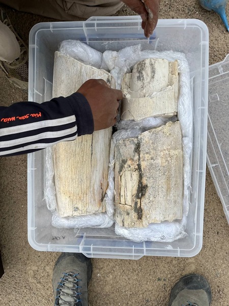 Foto - O ülkede bulundu! 4 bin yıllık heyecanlandıran keşif