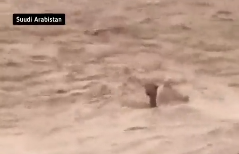 Foto - O ülkede çöller yeşillendi, nehirler oluştu! Kıyamet alameti mi? Akıllara o Hadis-i Şerif geldi