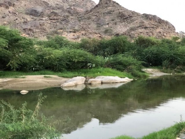 Foto - O ülkede çöller yeşillendi, nehirler oluştu! Kıyamet alameti mi? Akıllara o Hadis-i Şerif geldi