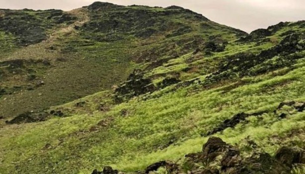 Foto - O ülkede çöller yeşillendi, nehirler oluştu! Kıyamet alameti mi? Akıllara o Hadis-i Şerif geldi