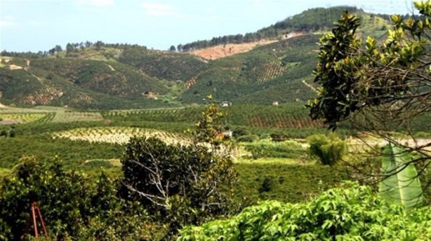 Foto - O ülkede kadınlar değil erkekler gelin gidiyor!