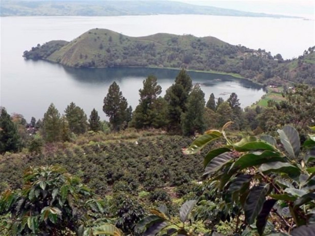  O ülkede kadınlar değil erkekler gelin gidiyor!