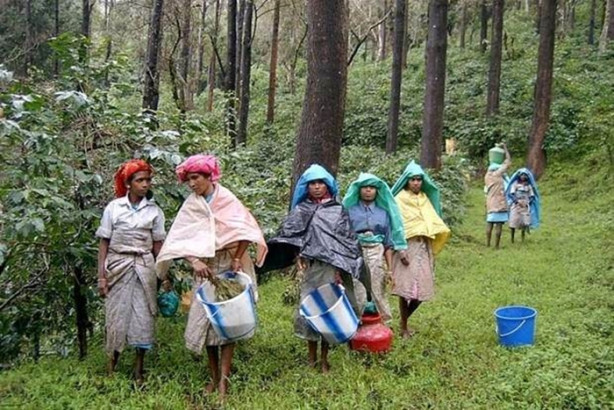 Foto - O ülkede kadınlar değil erkekler gelin gidiyor!